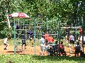 P1040588_.JPG