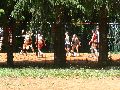 P1040593_.JPG
