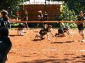 P1100047_.JPG