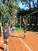 P1100068_.jpg