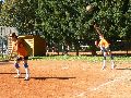 P1100101_.JPG
