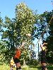 P1100126_.jpg